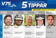 Fem tippar V75 till Bergsåker 4 november 2017 tippar-v75
