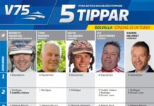 Fem tippar V75 till Solvalla Söndag 29 oktober 2017 Fem tippar V75 till Jägersro Söndag 29 oktober 2017