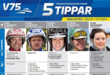 Fem tippar V75 till Skellefteå 7 oktober 2017 5 tippar skellefteå