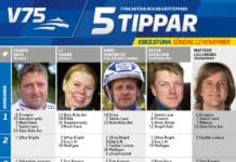 Fem tippar V75 till Eskilstuna 12 november 2017 eskilstuna 5 tippar