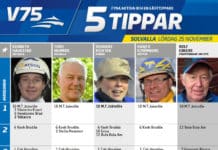 Fem tippar V75 till Solvalla 25 november 2017 Fem tippar V75 till Solvalla 25 november 2017