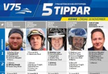 Fem tippar V75 till Bjerke 18 november 2017 Fem tippar V75 till Bjerke 18 november 2017