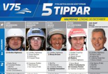 Fem tippar V75 till Halmstad 30 december 2017 Fem tippar V75 till Halmstad 30 december 2017