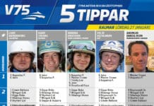 Fem tippar V75 till Kalmar 27 januari 2018 Fem tippar V75 till Kalmar 27 januari 2018