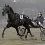 V75 i Bollnäs på söndag V75 i Bollnäs på söndag