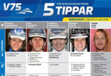 Fem tippar V75 till Bergsåker 6 januari 2018 fem tippar bergsåker