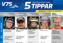 Fem tippar V75 till Solvalla 24 februari 2018 Fem tippar V75 till Solvalla 24 februari 2018