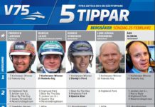 Fem tippar V75 till Bergsåker 25 februari 2018 fem tippar bergsåker