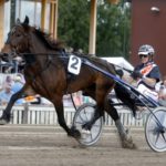 Elitkampen på Solvalla som ett av säsongens mål Elitkampen på Solvalla som ett av säsongens mål