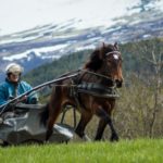 ”Lannem Silje kan springa minst en sekund fortare” Lannem Silje kan springa minst en sekund fortare