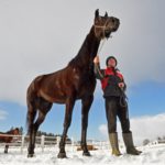 Inför V75 Söndag : Den svarta bjässen Milliondollarrhyme den svarta bjässen Milliondollarrhyme