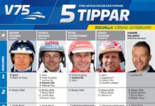 Fem tippar V75 till Solvalla 10 februari 2018 Fem tippar V75 till Solvalla 10 februari 2018