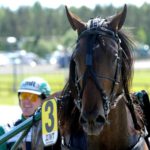 Jörgen Westholm drar till värmen Jörgen Westholm drar till värmen