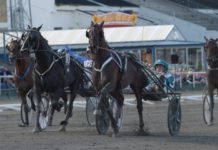 Inför V86 – Kapacitet som räcker men svårbedömd form Inför V86 - Kapacitet som räcker men svårbedömd form