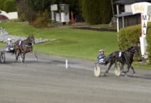 Inför V86: Två raka hos Stefan Melander två raka hos Stefan Melander