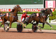 Bold Eagle tog en enkel seger