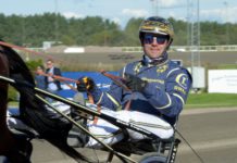 Inför V86 – en ny topphäst hos Conrad Lugauer Inför V86 - en ny topphäst hos Conrad Lugauer