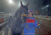 Inför GS75 – Kapable men galopplystne Vollanfaks Kapable men galopplystne Vollanfaks