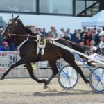 Startfältet till Finlandia-Ajo Startfältet till Finlandia-Ajo