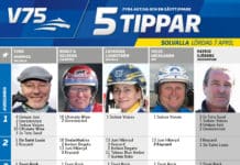 Fem tippar V75 till Solvalla 7 april 2018 Fem tippar V75 till Solvalla 7 april 2018