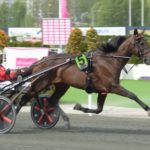Inför Elitloppet: Bold Eagle och Propulsion lottades till bra startspår Bold Eagle och Propulsion lottades till bra startspår