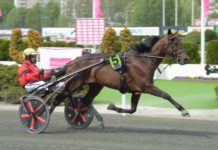 Inför Elitloppet: Bold Eagle och Propulsion lottades till bra startspår Bold Eagle och Propulsion lottades till bra startspår