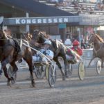 Inför Elitloppet – Bäva månde Bold Eagle Bäva månde Bold Eagle