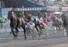 Inför Elitloppet – Bäva månde Bold Eagle Bäva månde Bold Eagle