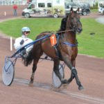 Elitloppsinbjudningarna fortsätter komma i en strid ström Elitloppsinbjudningarna fortsätter komma i en strid ström