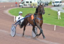Elitloppsinbjudningarna fortsätter komma i en strid ström Elitloppsinbjudningarna fortsätter komma i en strid ström