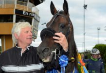 Inför Elitloppet – Halmstadtränaren Jerry Riordan