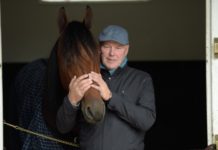 Hemmahoppet står troligen över Elitloppet Hemmahoppet står troligen över Elitloppet
