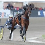 Inför Elitloppet – I år får han chans till revansch Inför Elitloppet - I år får han chans till revansch