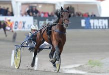 Inför Elitloppet – I år får han chans till revansch Inför Elitloppet - I år får han chans till revansch