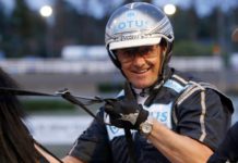Inför V86 – Hårdingen Tesio har kommit igång Inför V86 - Hårdingen Tesio har kommit igång