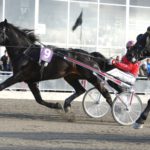 Månprinsen A.M. är anmäld till ett V86-lopp på Bergsåker Månprinsen A.M. är anmäld till ett V86-lopp på Bergsåker