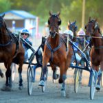 Eftersnack V86 – Obesegrade talangen Victory Topline Obesegrade talangen Victory Topline