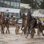Eftersnack V75 Bergsåker – Smetig bana och regn Smetig bana och regn