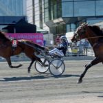 Inför Elitloppet – Solvalla och strålande solsken Inför Elitloppet - Solvalla och strålande solsken