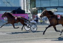 Inför Elitloppet – Solvalla och strålande solsken Inför Elitloppet - Solvalla och strålande solsken
