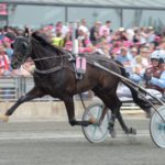 Up And Quick är klar för Elitloppet Up And Quick är klar för Elitloppet