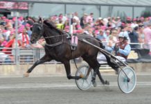 Up And Quick är klar för Elitloppet Up And Quick är klar för Elitloppet