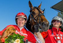 Elitloppet eller inte? Elitloppet eller inte