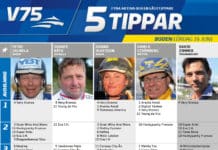 Fem tippar V75 till Boden 16 juni 2018 – Midnattstravet 16 juni 2018 - Midnattstravet