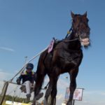 Eftersnack V75 Mantorp Eftersnack V75 Mantorp