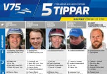 Fem tippar V75 till Kalmar 24 juni 2018