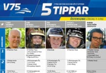 Fem tippar V75 till Östersund 9 juni 2018 Fem tippar V75 till Östersund 9 juni 2018