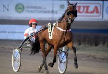 Inför GS75 – Obesegrad efter två starter i år Inför GS75 - Obesegrad efter två starter i år