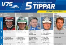 Fem tippar V75 till Årjäng 14 juli 2018