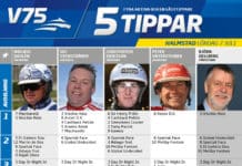 Fem tippar V75 till Halmstad 7 juli 2018 v75 halmstad